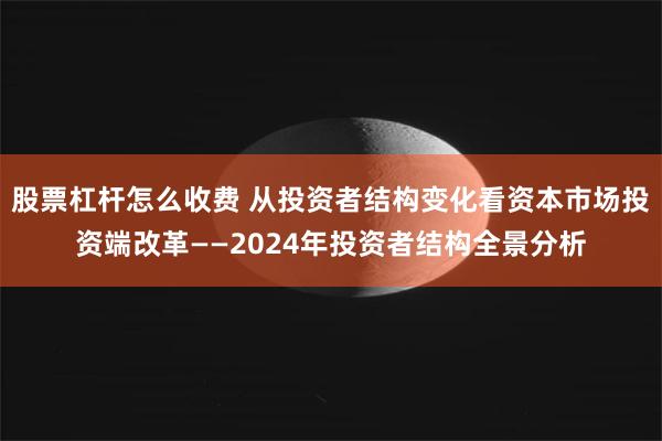 股票杠杆怎么收费 从投资者结构变化看资本市场投资端改革——2024年投资者结构全景分析