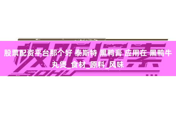 股票配资平台那个好 泰斯特 黑鸭膏 应用在 黑鸭牛丸煲_食材_原料_风味