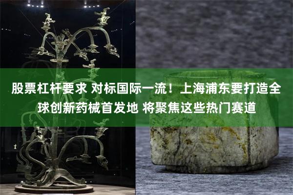 股票杠杆要求 对标国际一流！上海浦东要打造全球创新药械首发地 将聚焦这些热门赛道