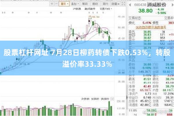 股票杠杆网址 7月28日柳药转债下跌0.53%，转股溢价率33.33%