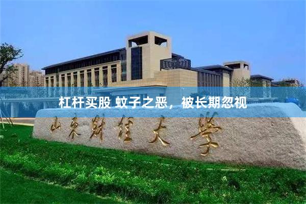 杠杆买股 蚊子之恶，被长期忽视