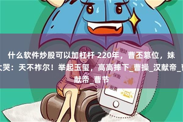 什么软件炒股可以加杠杆 220年，曹丕篡位，妹妹大哭：天不祚尔！举起玉玺，高高摔下_曹操_汉献帝_曹节