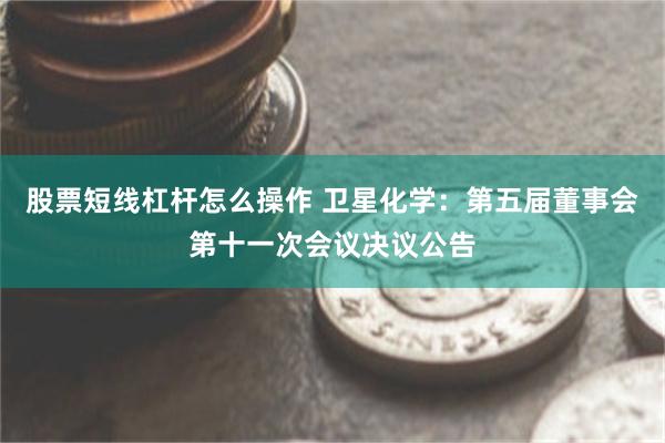 股票短线杠杆怎么操作 卫星化学：第五届董事会第十一次会议决议公告