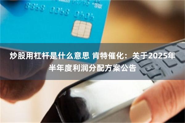 炒股用杠杆是什么意思 肯特催化：关于2025年半年度利润分配方案公告