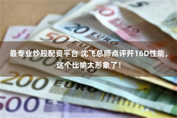最专业炒股配资平台 沈飞总师点评歼16D性能，这个比喻太形象了！
