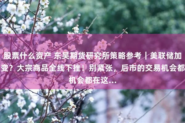 股票什么资产 东吴期货研究所策略参考｜美联储加息再生变？大宗商品全线下挫！别紧张，后市的交易机会都在这...