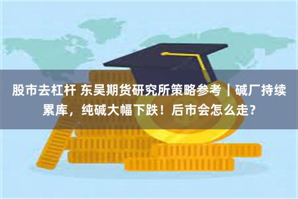 股市去杠杆 东吴期货研究所策略参考｜碱厂持续累库，纯碱大幅下跌！后市会怎么走？