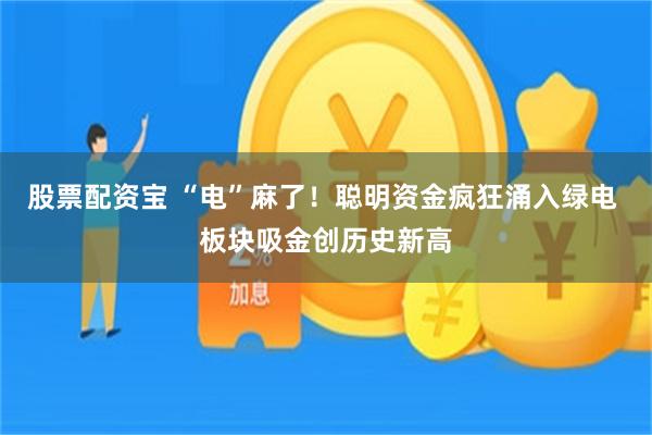 股票配资宝 “电”麻了！聪明资金疯狂涌入绿电 板块吸金创历史新高