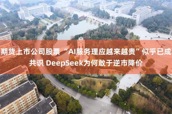 期货上市公司股票 “AI服务理应越来越贵”似乎已成共识 DeepSeek为何敢于逆市降价