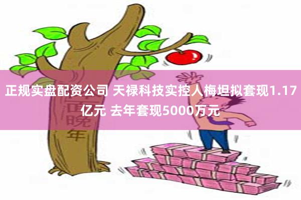 正规实盘配资公司 天禄科技实控人梅坦拟套现1.17亿元 去年套现5000万元