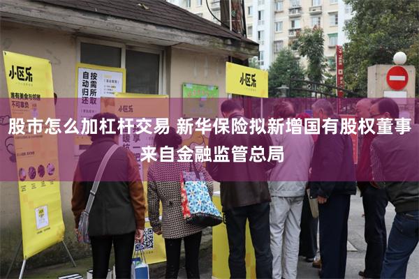 股市怎么加杠杆交易 新华保险拟新增国有股权董事 来自金融监管总局