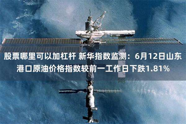 股票哪里可以加杠杆 新华指数监测：6月12日山东港口原油价格指数较前一工作日下跌1.81%