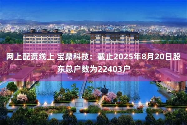 网上配资线上 宝鼎科技：截止2025年8月20日股东总户数为22403户