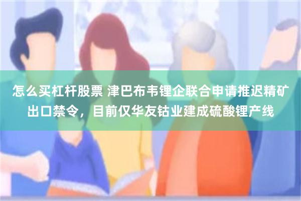 怎么买杠杆股票 津巴布韦锂企联合申请推迟精矿出口禁令，目前仅华友钴业建成硫酸锂产线