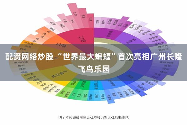 配资网络炒股 “世界最大蝙蝠”首次亮相广州长隆飞鸟乐园