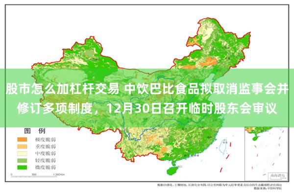 股市怎么加杠杆交易 中饮巴比食品拟取消监事会并修订多项制度，12月30日召开临时股东会审议