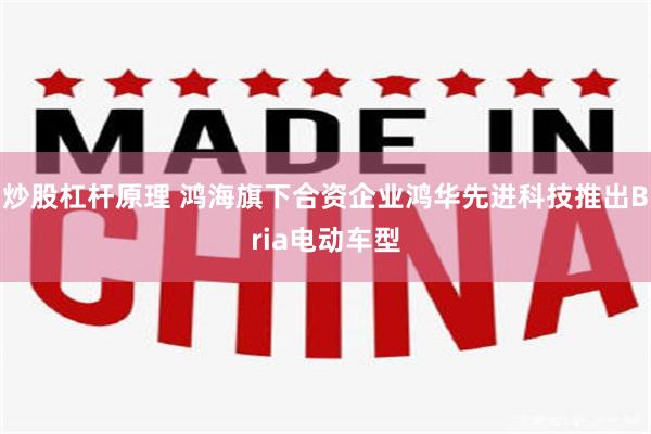 炒股杠杆原理 鸿海旗下合资企业鸿华先进科技推出Bria电动车型