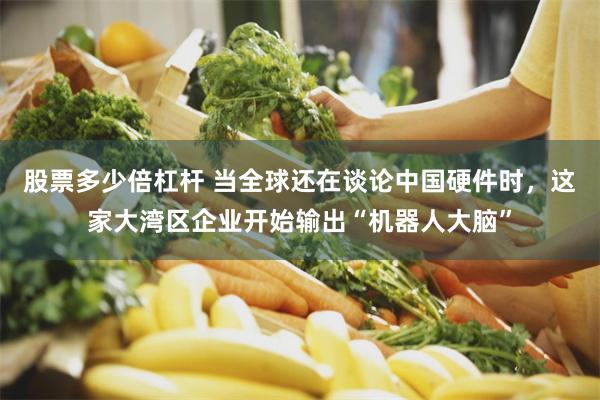 股票多少倍杠杆 当全球还在谈论中国硬件时，这家大湾区企业开始输出“机器人大脑”