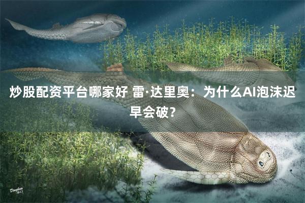 炒股配资平台哪家好 雷·达里奥:为什么AI泡沫迟早会破?