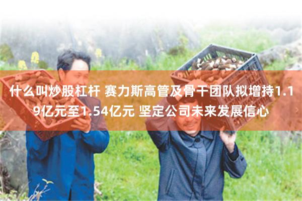 什么叫炒股杠杆 赛力斯高管及骨干团队拟增持1.19亿元至1.54亿元 坚定公司未来发展信心