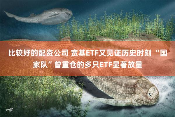 比较好的配资公司 宽基ETF又见证历史时刻 “国家队”曾重仓的多只ETF显著放量
