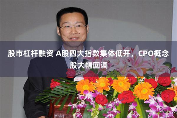 股市杠杆融资 A股四大指数集体低开,CPO概念股大幅回调