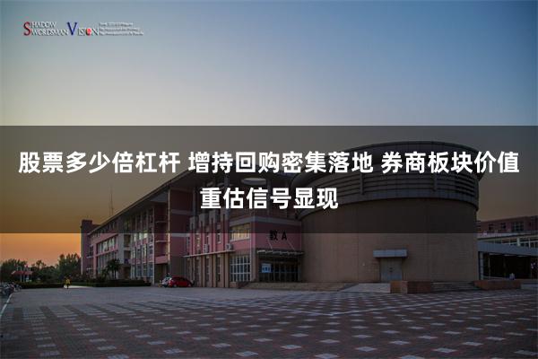 股票多少倍杠杆 增持回购密集落地 券商板块价值重估信号显现