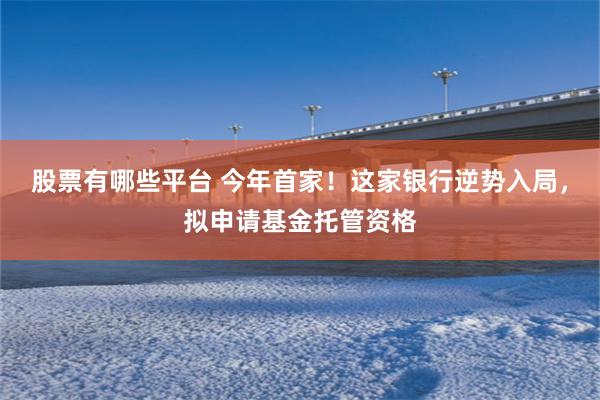 股票有哪些平台 今年首家！这家银行逆势入局，拟申请基金托管资格