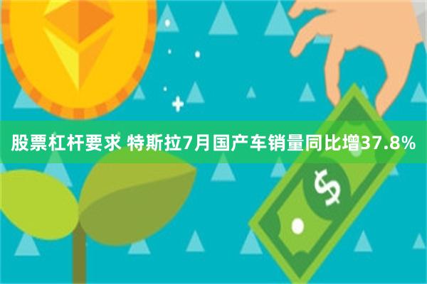 股票杠杆要求 特斯拉7月国产车销量同比增37.8%
