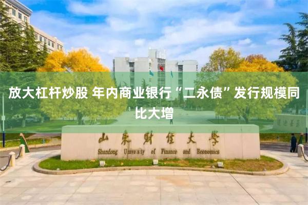 放大杠杆炒股 年内商业银行“二永债”发行规模同比大增