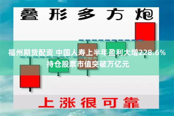 福州期货配资 中国人寿上半年盈利大增228.6% 持仓股票市值突破万亿元