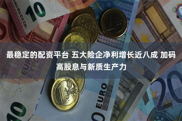 最稳定的配资平台 五大险企净利增长近八成 加码高股息与新质生产力