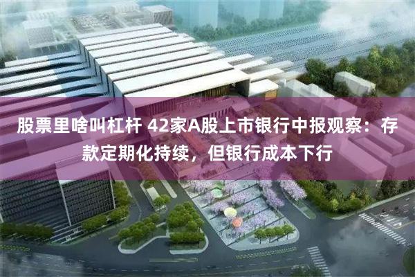 股票里啥叫杠杆 42家A股上市银行中报观察：存款定期化持续，但银行成本下行