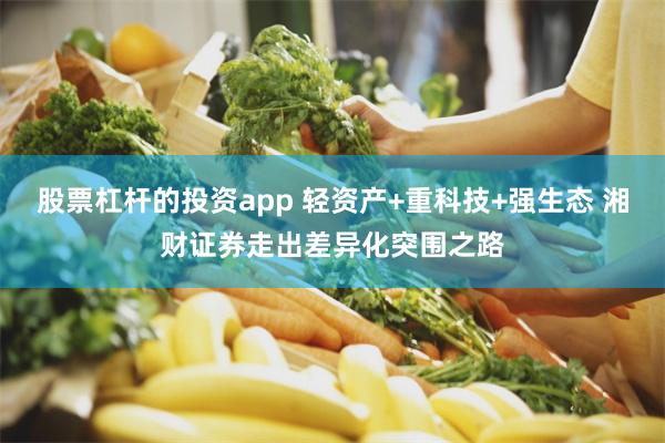 股票杠杆的投资app 轻资产+重科技+强生态 湘财证券走出差异化突围之路