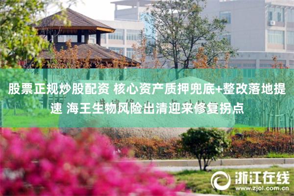 股票正规炒股配资 核心资产质押兜底+整改落地提速 海王生物风险出清迎来修复拐点