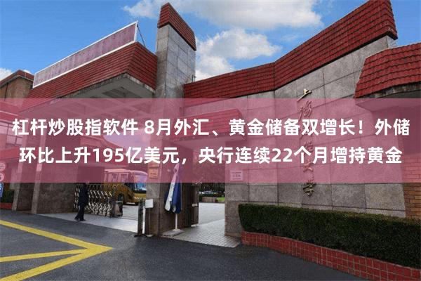 杠杆炒股指软件 8月外汇、黄金储备双增长！外储环比上升195亿美元，央行连续22个月增持黄金