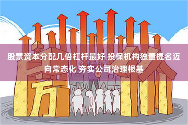 股票资本分配几倍杠杆最好 投保机构独董提名迈向常态化 夯实公司治理根基