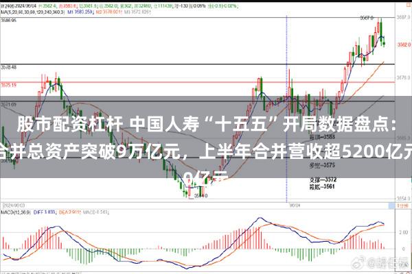 股市配资杠杆 中国人寿“十五五”开局数据盘点:合并总资产突破9万亿元,上半年合并营收超5200亿元