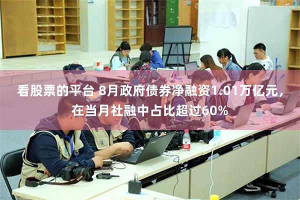 看股票的平台 8月政府债券净融资1.01万亿元，在当月社融中占比超过60%