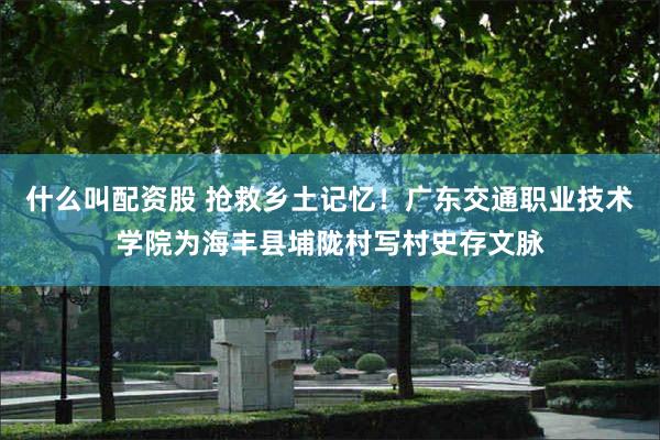 什么叫配资股 抢救乡土记忆！广东交通职业技术学院为海丰县埔陇村写村史存文脉