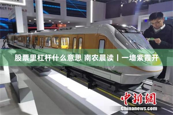 股票里杠杆什么意思 南农晨读丨一墙紫霞开