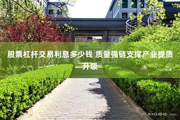股票杠杆交易利息多少钱 质量强链支撑产业提质升级
