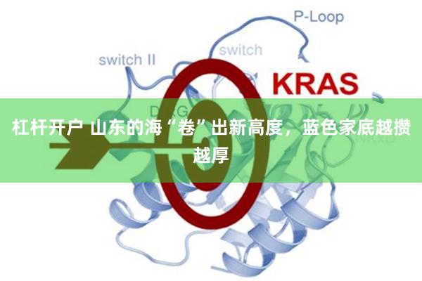 杠杆开户 山东的海“卷”出新高度，蓝色家底越攒越厚