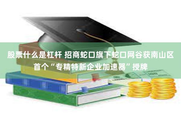 股票什么是杠杆 招商蛇口旗下蛇口网谷获南山区首个“专精特新企业加速器”授牌