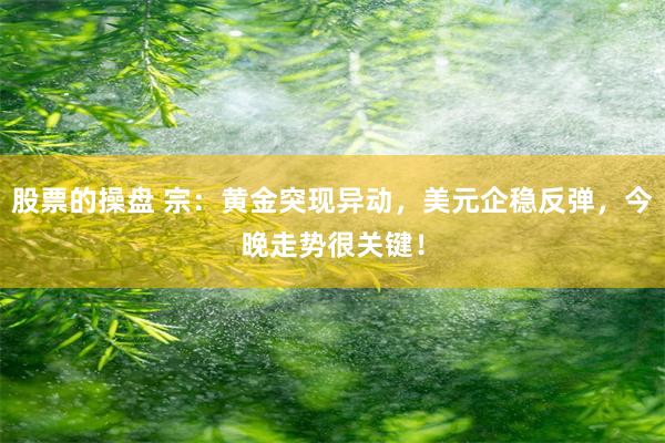 股票的操盘 宗：黄金突现异动，美元企稳反弹，今晚走势很关键！