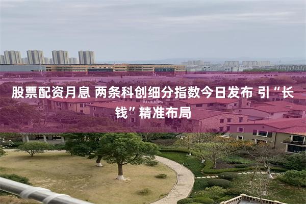股票配资月息 两条科创细分指数今日发布 引“长钱”精准布局