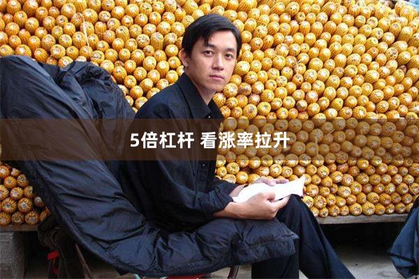5倍杠杆 看涨率拉升