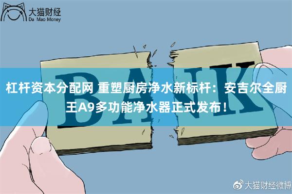 杠杆资本分配网 重塑厨房净水新标杆:安吉尔全厨王A9多功能净水器正式发布!